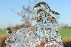 bevroren-bloesem-WdVries