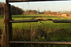doorkijkje in de natuur