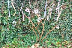 Boompje met linten in Venstertuin-MHS