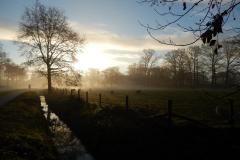 winternevel landschap-JvD