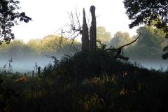 stille-ontmoeting-op-heuvel