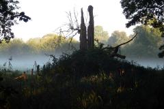 stille-ontmoeting-op-heuvel