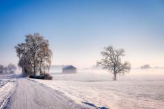 winter landschap met sneeuw