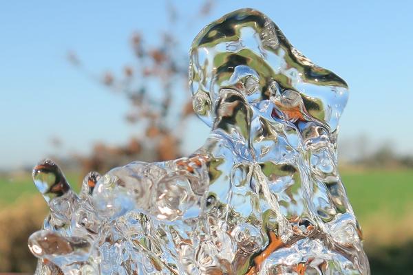 bevroren-bloesem-WdVries