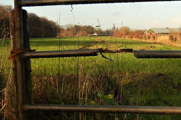 doorkijkje in de natuur