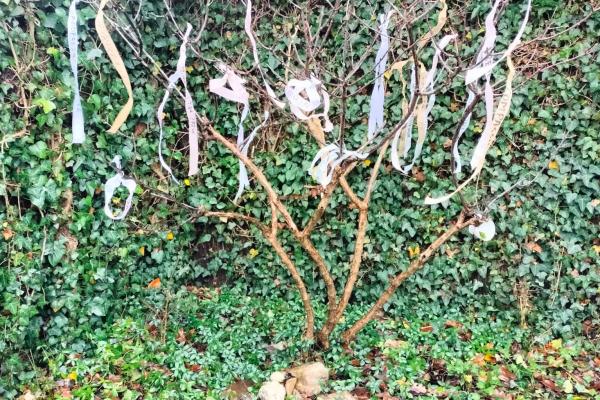 Boompje met linten in Venstertuin-MHS