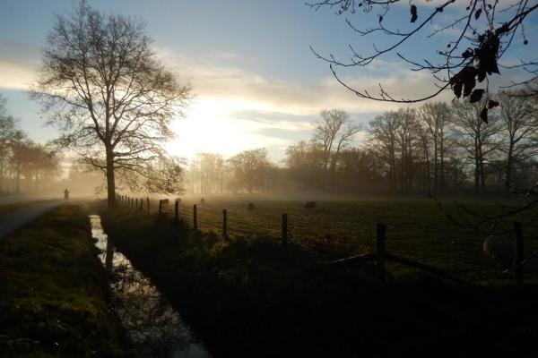 winternevel landschap-JvD