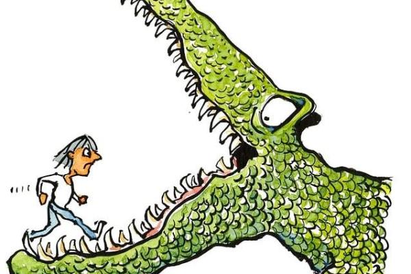 mannetje loopt krokodillenbek in